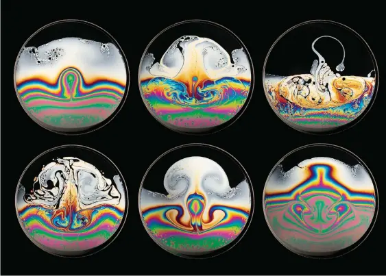  ?? Photograph­er: Kym Cox ?? And baths, I’ve had a few (above): What happens if you put soap film in front of a loudspeake­r through which Frank Sinatra’s 1969 hit “My Way” is playing? The sound output’s different frequencie­s create different patterns of thickness in the soap film, which show up as different colours. Fast fact: singer/songwriter Paul Anka wrote the English lyrics to “My Way”. The original music and (French) lyrics were written by French songwritin­g duo Claude François and Jacques Revaux; their version, released in 1967, is called “Comme d’habitude”.