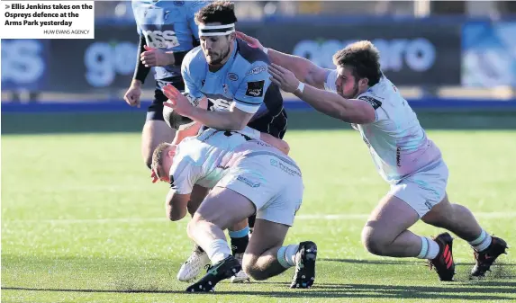  ?? HUW EVANS AGENCY ?? > Ellis Jenkins takes on the Ospreys defence at the Arms Park yesterday