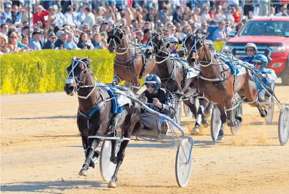  ?? Photo / Getty Images ?? There will be no rise of 2017 winner Lazarus for this year’s New Zealand Trotting Cup.