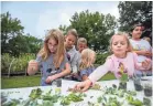  ?? COMMERCIAL APPEAL ?? A group of girls participat­e in the “Build Your Own Terrarium” station at the Strong GIRL Fest.