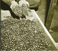  ??  ?? Wedding rings removed from the victims of the Third Reich. Much of the gold looted by the Nazis has never been recovered