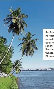  ??  ?? Am Strand von Kalutara kann man die Seele baumeln lassen (links), in Peradeniya tanzen die Bäume