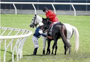  ?? GETTY IMAGES ?? Jockey Ryan Moore checks on the condition of The Cliffsofmo­her during the Melbourne Cup. The horse was euthanised after the race.