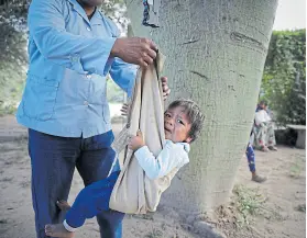  ??  ?? Control de peso. En Misión La Paz, la balanza cuelga de un árbol