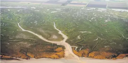  ??  ?? ● Banks Marsh and the mouth of the River Crossens