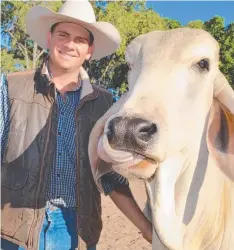  ??  ?? CATTLEMAN: Ingham cattle breeder Peter “Pistol” Chiesa with one of his poley brahmans at this year’s Rotary FNQ Field Days.