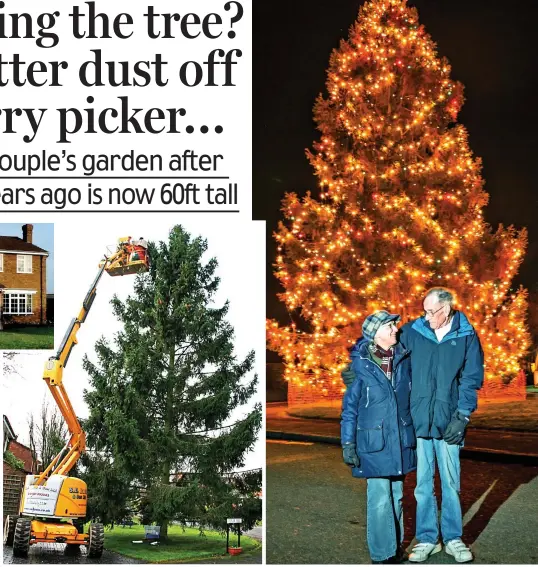  ?? ?? All aglow: Avril and Christophe­r Rowlands with the lit-up tree