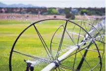  ?? MARLA BROSE/JOURNAL ?? Fields at HIPICO Santa Fe are being watered amid the season’s hot, dry weather in preparatio­n for the Santa Fe Summer Series equestrian competitio­n.