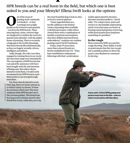  ?? ?? A hunt, point, retrieve (HPR) gundog must perform many tasks in the field – some are easier to train and live with than others