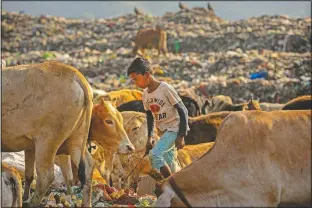  ??  ?? Imradul Ali looks for recyclable material at a landfill on the outskirts of Gauhati, India. Imradul started doing it over a year ago to help his family make more money.