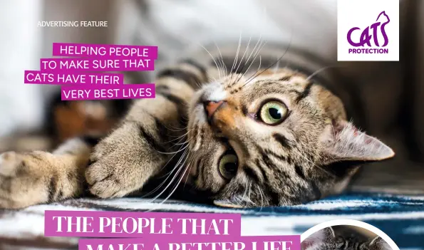  ?? ?? HELPING PEOPLE TO MAKE SURE THAT CATS HAVE THEIR VERY BEST LIVES