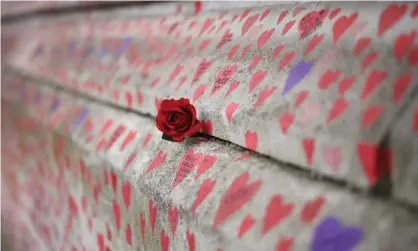  ??  ?? A red rose is attached to the National Covid memorial wall on the embankment on the south sideof the River Thames. Photograph: Tolga Akmen/AFP/Getty Images