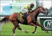  ?? CHELSEA DURAND — NYRA ?? Red Rifle was the winner at last year’s Alydar Stakes and looks for the repeat against odds-on favorite Rally Cry.