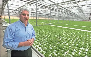  ?? RICK WOOD / MILWAUKEE JOURNAL SENTINEL ?? John McMicken, chief executive officer of Evergreen Cooperativ­e, ex plains how the hydroponic greenhouse operates. Of the 38 full-time greenhouse employees, 20 are owners, McMicken says.