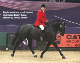  ??  ?? Freda Newton’s small hunter champion Ebony King, ridden by James Munro