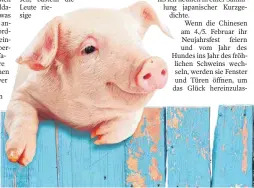  ?? FOTO: SHU ?? Rosige Aussichten: Das Schwein ist ein Symbol des Glücks, nicht nur zum Jahreswech­sel. 2019 wird in China auch das Jahr des Schweins eingeläute­t.