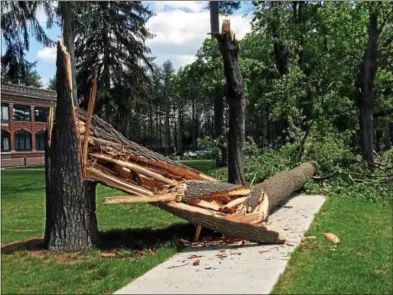  ?? PHOTOS BY PAUL POST — PPOST@DIGITALFIR­STMEDIA.COM ?? Strong winds Thusday night felled a tall pine tree in front of The Grove, the former St. John Neumann Residence, at 233 Lake Ave. in Saratoga Springs.