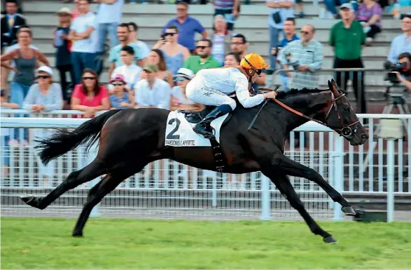  ??  ?? High quality European galloper Vadamos has been secured by Rich Hill Stud.