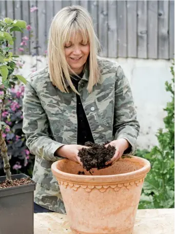  ?? ?? Use a soil-based, peat-free compost for plants that will spend a number of years in a pot