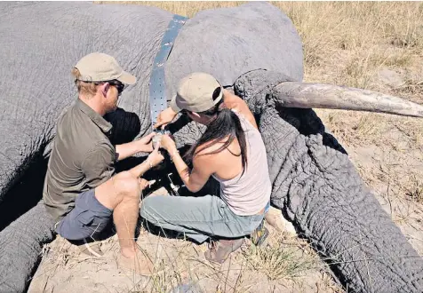  ??  ?? The Duke and Duchess of Sussex uploaded this previously unseen image to their Instagram of them in 2017 on a ‘secret’ trip to Botswana