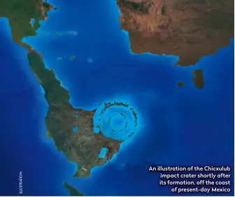  ??  ?? An illustrati­on of the Chicxulub impact crater shortly after its formation, off the coast of present-day Mexico