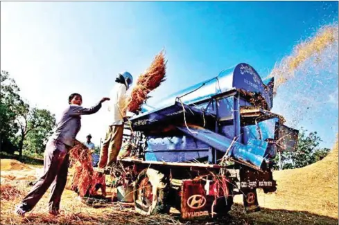  ?? HENG CHIVOAN ?? Farmers put harvested rice into a mobile threshing machine in Battambang province in 2015.