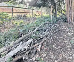  ?? ?? SATISFACTI­ON: Constructi­ng a dead hedge from the Storm Arwen debris.