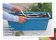  ??  ?? Choose seed tapes for easy planting