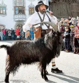  ??  ?? Der Axamer Bock gilt als Wahrzeiche­n und eröffnet das wilde Treiben im Tiroler Ort Axams ( am Bild mit Toni Singer).