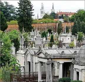  ??  ?? La nature a repris ses droits à Loyasse, niché sur la colline de Fourvière.