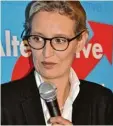  ?? Foto: Bissinger ?? Alice Weidel sprach am Sonntag vor über 500 Zuhörern im „Deutschmei­ster“in der Parkstadt.