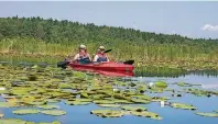  ??  ?? Kanuten finden in der Kleinseenp­latte Naturschut­zgebiete mit herrlichen Seerosenfe­ldern.