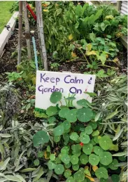  ??  ?? THIS PAGE
LEFT & CENTRE Good Neighbour in Tauranga RIGHT Grandview Community Garden in Hamilton