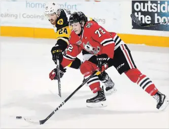  ?? BOB TYMCZYSZYN THE ST. CATHARINES STANDARD ?? Niagara IceDogs Bradey Johnson, right, and Hamilton Bulldogs Connor Walters, left, battle for the puck.