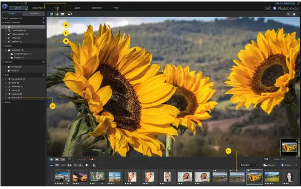  ??  ?? A Six modules let you focus on tasks such as organising or printing. The Adjustment module enables you to reveal missing tones, correct colour balance and sharpen your shots.
B Sort your files in the Library module by popping them into custom albums....
