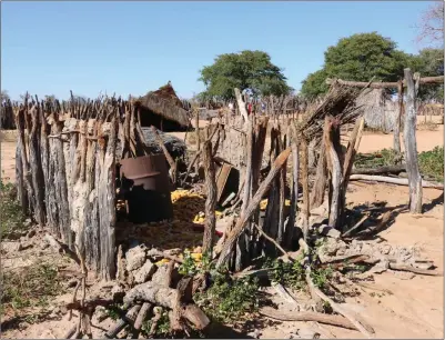  ?? Photo: File ?? Conflict… A home destroyed by elephants in 2020 in Kavango West.