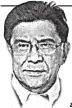  ??  ?? “By way of reiteratio­n, Sen. Trillanes was not able to prove through testimonia­l and documentar­y evidence that he filed his applicatio­n for amnesty nor expressly admitted his guilt in the applicatio­n form for the crime he committed during the Manila Peninsula incident which are the minimum requiremen­ts set forth under Proclamati­on No. 75.”—Judge Alameda