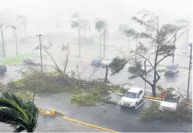  ??  ?? Hurrikan Maria hat auf einem Parkplatz in der puerto-ricanische­n Hauptstadt San Juan mehrere Bäume entwurzelt.