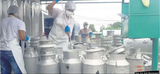  ?? Foto: Eric Ariel Montenegro ?? Producto que se tuvo que proceder a destruir en La Chorrera por la falta de refrigerac­ión en los comercios. Panamá Oeste