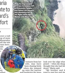  ??  ?? Rhea the dog (circled) after she fell down a cliff at Mussenden Temple and (below) the rescuers who abseiled to her aid. Right: owner Maria Weimer with Rhea