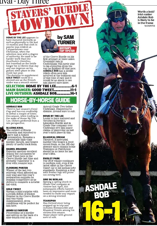  ?? RACINGFOTO­S ?? Worth a bob? Irish raider Ashdale Bob is likely to be in the frame