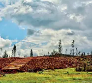  ??  ?? Autunno 2018
A fine ottobre la montagna vicentina e bellunese è stata devastata da quella che è stata poi chiamata tempesta Vaia