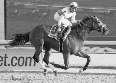  ?? MICHAEL BURNS ?? Yorkton, pictured winning the Bold Venture, aims to get back on turf in the Oct. 13 Nearctic.