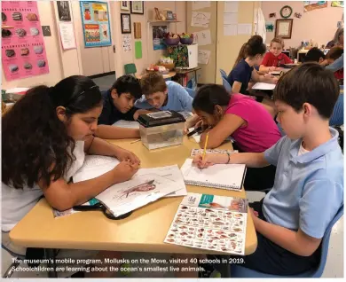  ??  ?? The museum’s mobile program, Mollusks on the Move, visited 40 schools in 2019. Schoolchil­dren are learning about the ocean’s smallest live animals.