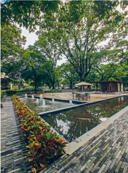  ??  ?? The Filinvest Group ensures that Mimosa+ Leisure City harmoniusl­y coexists with its natural environs.