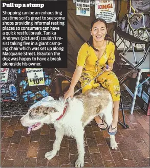  ??  ?? Shopping can be an exhausting pastime so it’s great to see some shops providing informal resting places so consumers can have a quick restful break. Tanika Andrews (pictured) couldn’t resist taking five in a giant camping chair which was set up along Macquarie Street. Braxton the dog was happy to have a break alongside his owner.