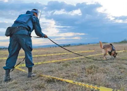  ?? FOTO ARCHIVO EL COLOMBIANO ?? Con desminado militar y humanitari­o el Estado busca devolver la tranquilid­ad en los territorio­s afectados por minas, pero los grupos siguen sembrando estos artefactos.