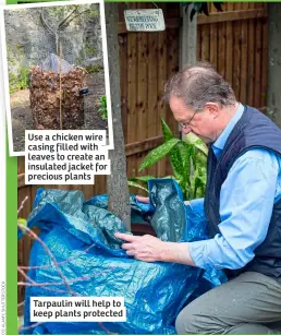  ?? ?? Use a chicken wire casing filled with leaves to create an insulated jacket for precious plants Tarpaulin will help to keep plants protected