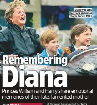  ??  ?? DIANA WITH SONS HARRY AND WILLIAM AT THORPE PARK IN 1993