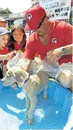  ?? CLIFFORD SKARSTEDT/EXAMINER FILES ?? David Tuck washes Zeva, an eightweek-old puppy, during a dog wash fundraiser on July 25, 2015 at Pet Valu on Chemong Road for the Peterborou­gh Huskies specialnee­ds hockey team. Tuck is on trial this week for defrauding the team he co-founded.